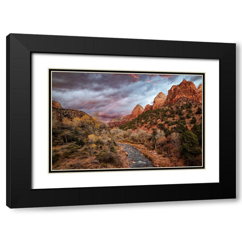 Utah-Zion National Park-A fiery sunset lights up Zions Virgin River and cottonwood trees Black Modern Wood Framed Art Print with Double Matting by Collins, Ann