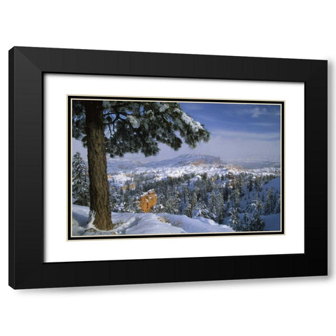 USA, Utah, Bryce Canyon in Winter Black Modern Wood Framed Art Print with Double Matting by Rotenberg, Nancy