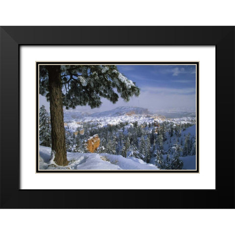 USA, Utah, Bryce Canyon in Winter Black Modern Wood Framed Art Print with Double Matting by Rotenberg, Nancy