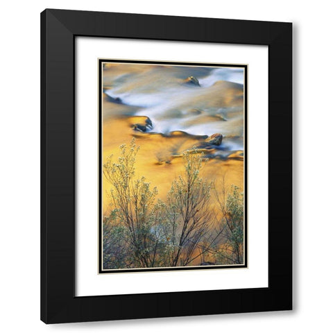 UT, Zion NP, Virgin River With Canyon Reflections Black Modern Wood Framed Art Print with Double Matting by Rotenberg, Nancy