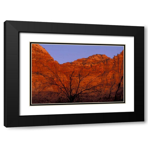 UT, Zion NP Silhouette of barren tree at sunset Black Modern Wood Framed Art Print with Double Matting by Young, Bill