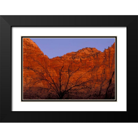 UT, Zion NP Silhouette of barren tree at sunset Black Modern Wood Framed Art Print with Double Matting by Young, Bill
