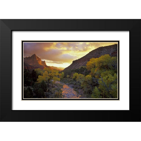 UT, Zion NP  Canyon landscape at sunset Black Modern Wood Framed Art Print with Double Matting by Young, Bill