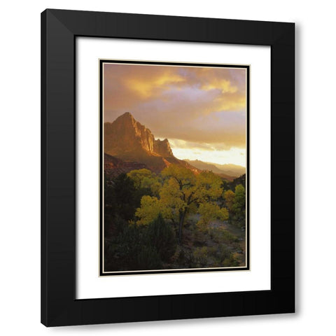 UT, Zion NP  Canyon landscape at sunset Black Modern Wood Framed Art Print with Double Matting by Young, Bill
