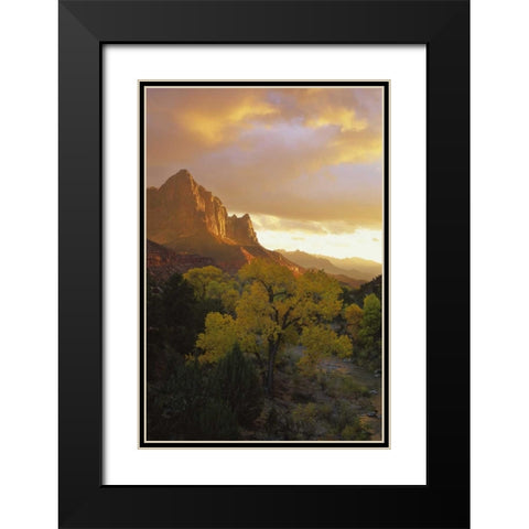 UT, Zion NP  Canyon landscape at sunset Black Modern Wood Framed Art Print with Double Matting by Young, Bill
