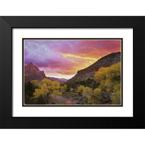 UT, Zion NP  Canyon landscape at sunset Black Modern Wood Framed Art Print with Double Matting by Young, Bill