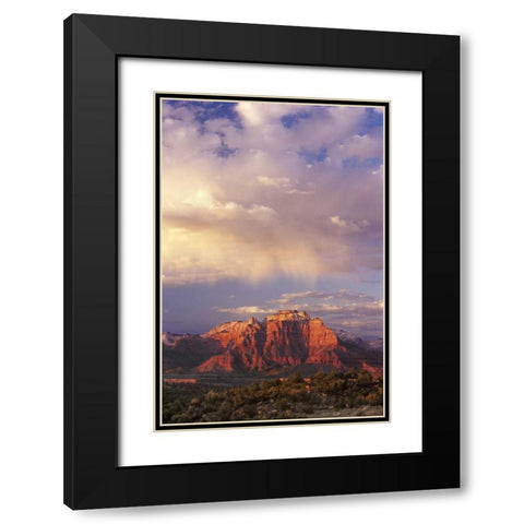 UT, Zion NP Storm over back of West Temple Black Modern Wood Framed Art Print with Double Matting by Welling, Dave