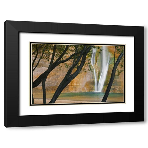 USA, Utah View of Calf Creek Falls through trees Black Modern Wood Framed Art Print with Double Matting by Paulson, Don