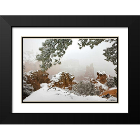 Utah, Bryce Canyon Paria Valley formations Black Modern Wood Framed Art Print with Double Matting by Paulson, Don