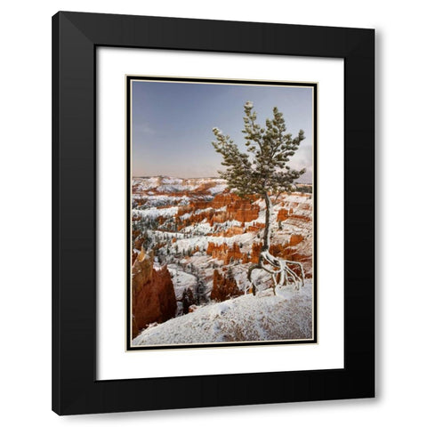 Utah, View of Bryce Canyon in winter Black Modern Wood Framed Art Print with Double Matting by Paulson, Don