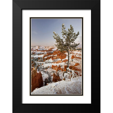 Utah, View of Bryce Canyon in winter Black Modern Wood Framed Art Print with Double Matting by Paulson, Don
