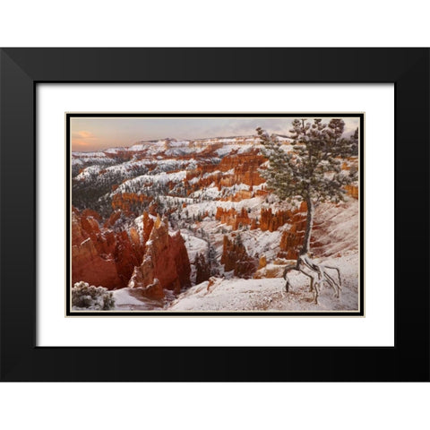Utah, View of Bryce Canyon in winter Black Modern Wood Framed Art Print with Double Matting by Paulson, Don