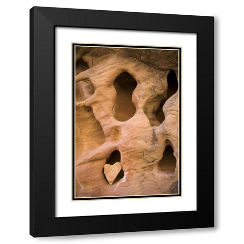 UT, Canyonlands NP Heart-shape rock in sandstone Black Modern Wood Framed Art Print with Double Matting by Paulson, Don