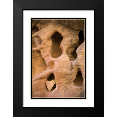 UT, Canyonlands NP Heart-shape rock in sandstone Black Modern Wood Framed Art Print with Double Matting by Paulson, Don