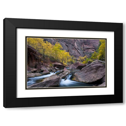UT, Zion NP Tree lined stream in The Narrows Black Modern Wood Framed Art Print with Double Matting by Rotenberg, Nancy