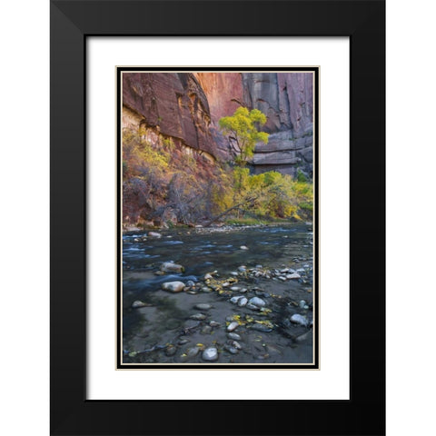 UT, Zion NP The Narrows with cottonwood trees Black Modern Wood Framed Art Print with Double Matting by Rotenberg, Nancy