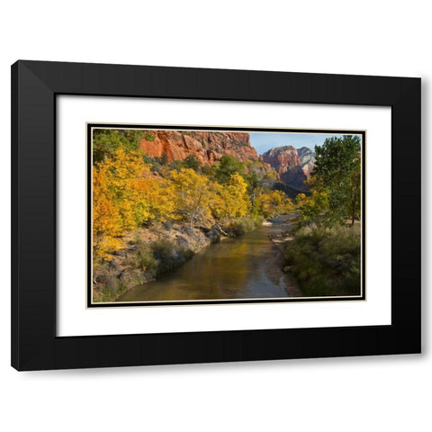 UT, Zion NP Zion Canyon and Virgin River Black Modern Wood Framed Art Print with Double Matting by Rotenberg, Nancy
