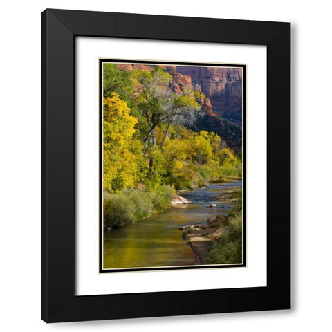 UT, Zion NP Virgin River and cottonwood trees Black Modern Wood Framed Art Print with Double Matting by Rotenberg, Nancy