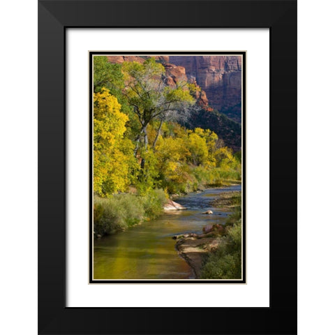UT, Zion NP Virgin River and cottonwood trees Black Modern Wood Framed Art Print with Double Matting by Rotenberg, Nancy