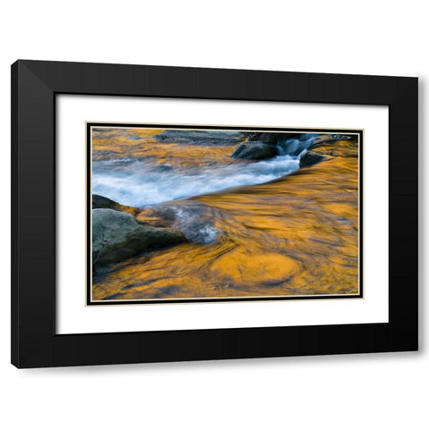 UT, Zion NP Canyon reflections on Virgin River Black Modern Wood Framed Art Print with Double Matting by Rotenberg, Nancy
