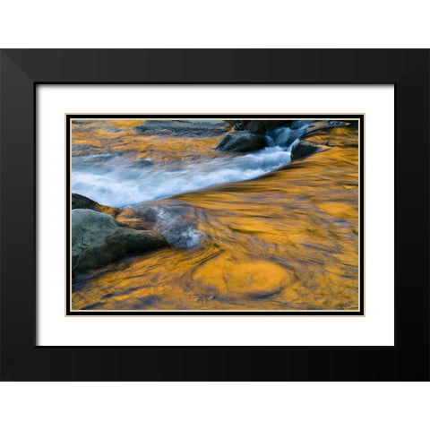 UT, Zion NP Canyon reflections on Virgin River Black Modern Wood Framed Art Print with Double Matting by Rotenberg, Nancy