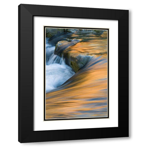 UT, Zion NP Canyon reflections on Virgin River Black Modern Wood Framed Art Print with Double Matting by Rotenberg, Nancy