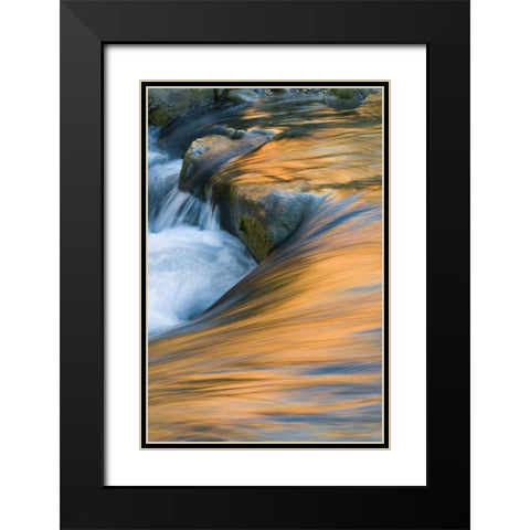 UT, Zion NP Canyon reflections on Virgin River Black Modern Wood Framed Art Print with Double Matting by Rotenberg, Nancy