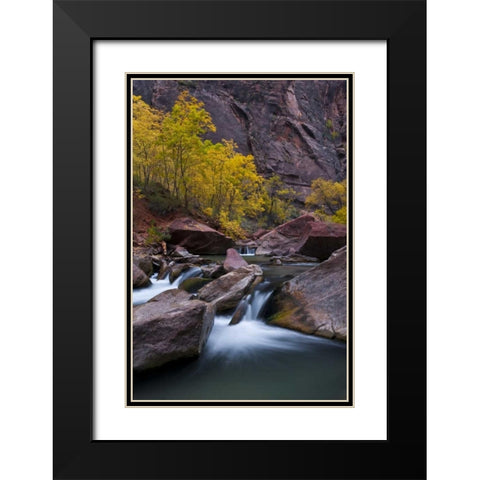 UT, Zion NP Waterfall with cottonwood trees Black Modern Wood Framed Art Print with Double Matting by Rotenberg, Nancy