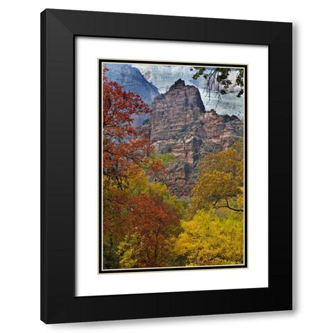 USA, Utah, Zion NP Fall foliage in The Narrows Black Modern Wood Framed Art Print with Double Matting by Rotenberg, Nancy