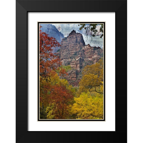 USA, Utah, Zion NP Fall foliage in The Narrows Black Modern Wood Framed Art Print with Double Matting by Rotenberg, Nancy
