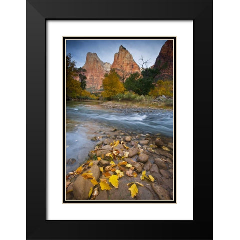 UT, Zion NP The Sentinel and fallen leaves Black Modern Wood Framed Art Print with Double Matting by Rotenberg, Nancy