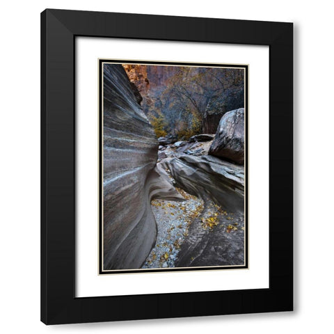UT, Zion NP Canyon in fall along a Highway Black Modern Wood Framed Art Print with Double Matting by Rotenberg, Nancy