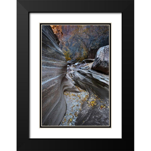 UT, Zion NP Canyon in fall along a Highway Black Modern Wood Framed Art Print with Double Matting by Rotenberg, Nancy