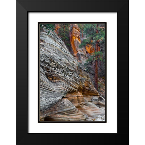 Utah, Zion NP Rock formations in Red Rock Canyon Black Modern Wood Framed Art Print with Double Matting by Rotenberg, Nancy