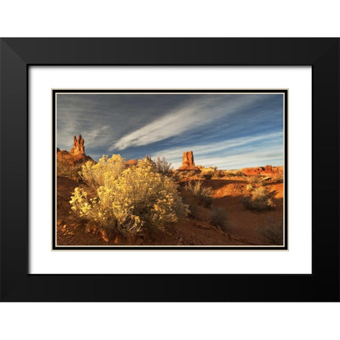 UT, Valley of The Gods Eroded formations Black Modern Wood Framed Art Print with Double Matting by Rotenberg, Nancy