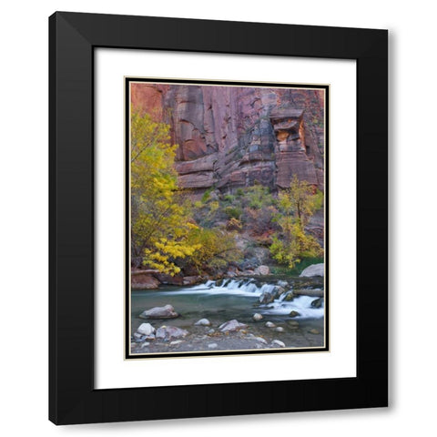 UT, Zion NP The Narrows with cottonwood trees Black Modern Wood Framed Art Print with Double Matting by Rotenberg, Nancy