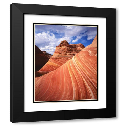 Utah, Paria Canyon The Wave formation, sandstone Black Modern Wood Framed Art Print with Double Matting by Flaherty, Dennis
