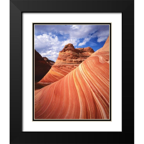 Utah, Paria Canyon The Wave formation, sandstone Black Modern Wood Framed Art Print with Double Matting by Flaherty, Dennis