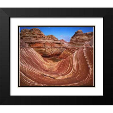 Utah, Paria Canyon The Wave formation, sandstone Black Modern Wood Framed Art Print with Double Matting by Flaherty, Dennis