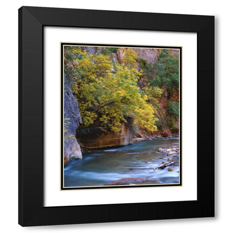 Utah, Zion NP The Virgin River in the Narrows Black Modern Wood Framed Art Print with Double Matting by Flaherty, Dennis