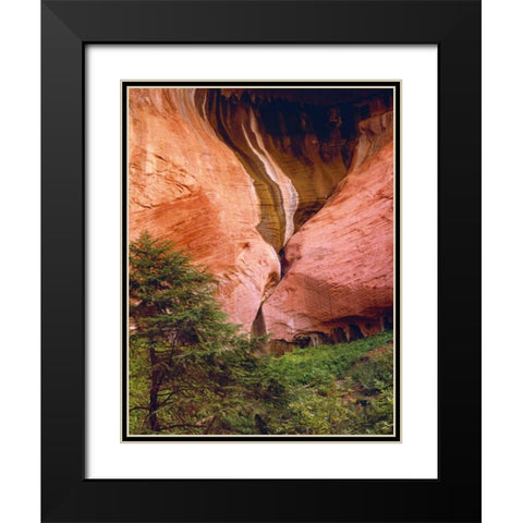 USA, Utah, Zion NP View of Double-Arch Alcove Black Modern Wood Framed Art Print with Double Matting by Flaherty, Dennis