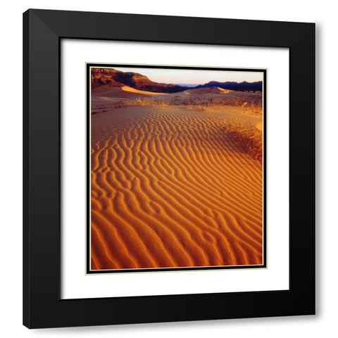 USA, Utah Coral Pink Sand Dunes at sunset Black Modern Wood Framed Art Print with Double Matting by Talbot Frank, Christopher