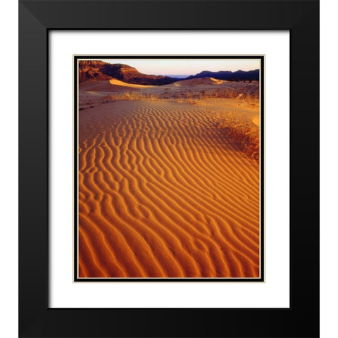 USA, Utah Coral Pink Sand Dunes at sunset Black Modern Wood Framed Art Print with Double Matting by Talbot Frank, Christopher