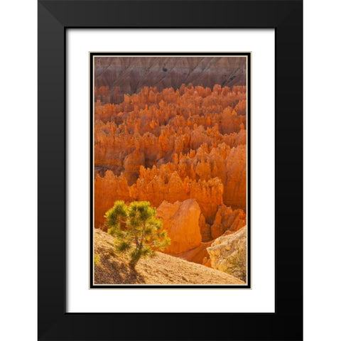 USA, Utah, Bryce Canyon NP Black Modern Wood Framed Art Print with Double Matting by Illg, Cathy and Gordon