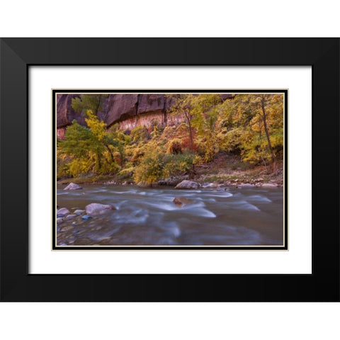USA, Utah, Zion NP Autumn on the Virgin River Black Modern Wood Framed Art Print with Double Matting by Illg, Cathy and Gordon