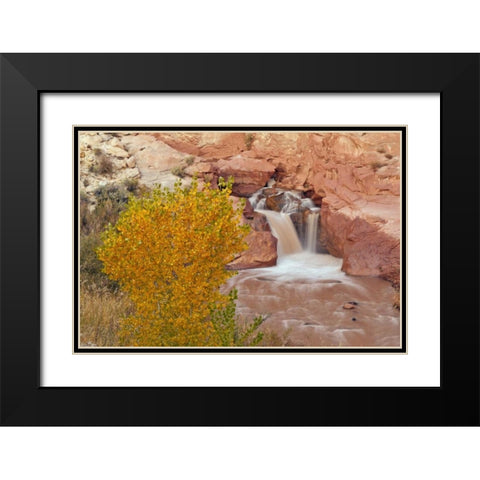 UT, Capitol Reef NP Waterfall on Fremont River Black Modern Wood Framed Art Print with Double Matting by Illg, Cathy and Gordon