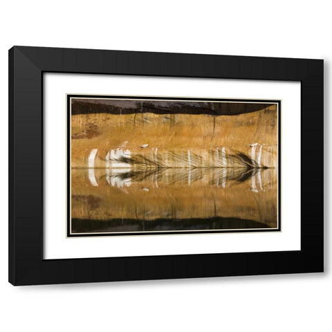 Utah, Glen Canyon Abstract reflection sandstone Black Modern Wood Framed Art Print with Double Matting by Paulson, Don