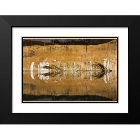 Utah, Glen Canyon Abstract reflection sandstone Black Modern Wood Framed Art Print with Double Matting by Paulson, Don