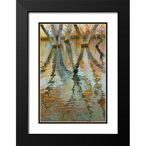 UT, Glen Canyon Cottonwood trees in Canyon water Black Modern Wood Framed Art Print with Double Matting by Paulson, Don