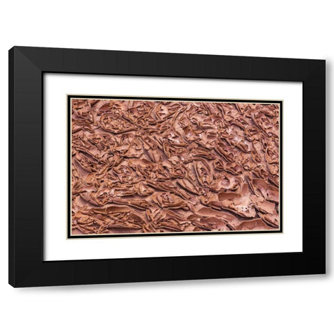 UT, Glen Canyon Dried mud left by Lake Powell Black Modern Wood Framed Art Print with Double Matting by Paulson, Don